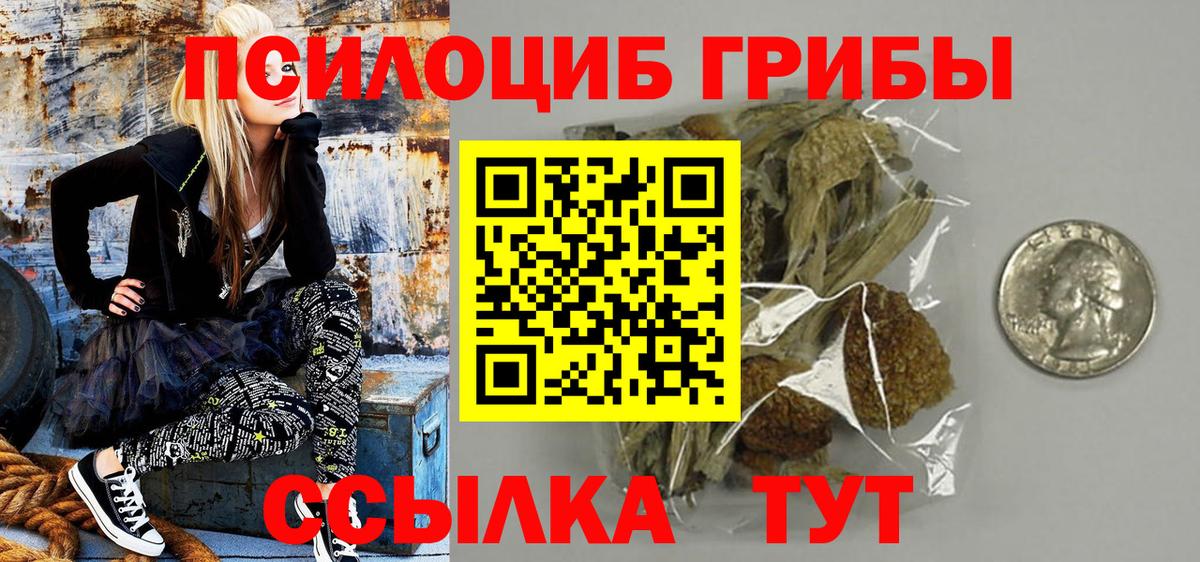 Галлюциногенные грибы Psilocybe  Вход с VPN  Красноярск 